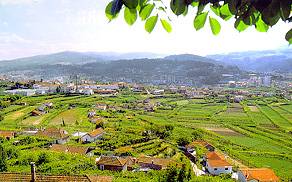 vlc1.jpg (16423 bytes)